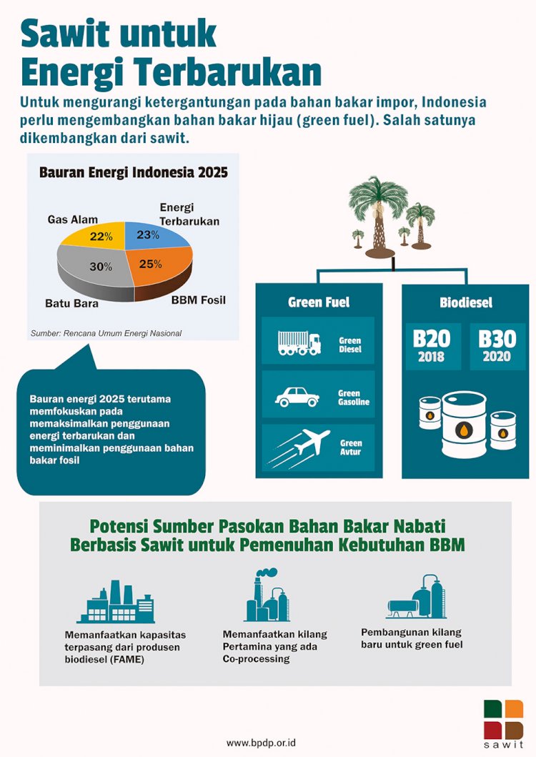 Sawit untuk Energi Terbarukan
